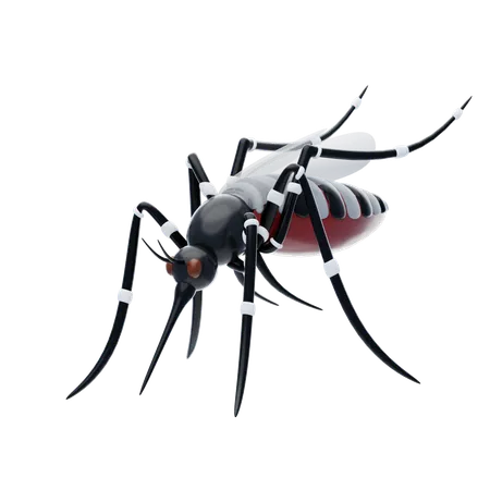 Dengue Test